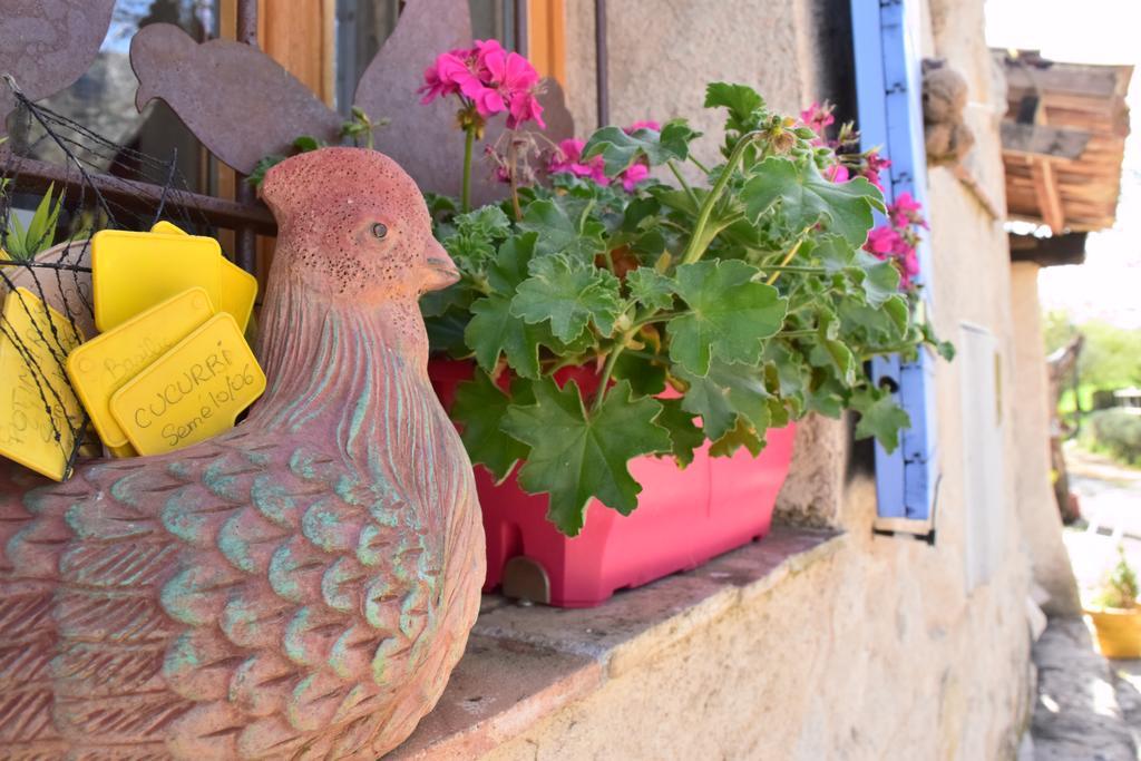 Ferme Saint Pierre Hotel Bargème Kültér fotó